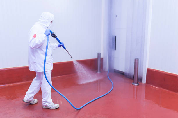 Professional Pressure Washing in Mckee City, NJ